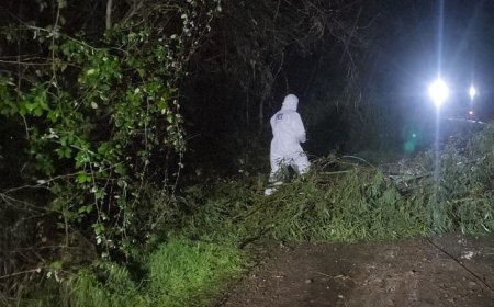 Hombre de 29 años fallece aplastado por rueda de carreta mientras realizaba labores agrícolas en Valdivia