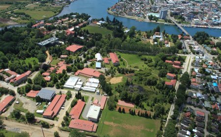 Universidad Austral suspende actividades en Campus Isla Teja desde las 13:00 horas por razones de seguridad