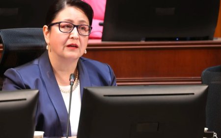 Contraloría desmiente denuncia anónima: Dorothy Pérez no participó en cóctel político en La Moneda