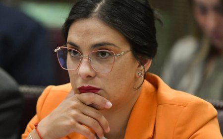 Karol Cariola admitió ante la PDI que intercedió por empresario chino ante Irací Hassler 