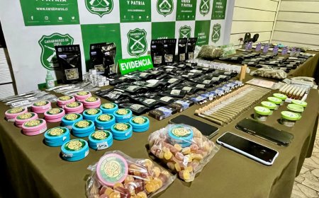 Carabineros del OS7 desarticula asociación criminal dedicada al tráfico de drogas en Valdivia 