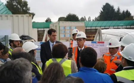 Ministro Arrau: "En 9 meses más debería estar terminada la excavación arqueológica en hospital de La Unión"