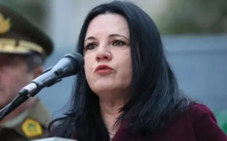 Gobierno pedirá medidas cautelares más gravosas contra detenidos por ataque a ministra Lincolao