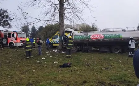Conductor de camión lechero fallece tras impactar frontalmente contra un árbol en sector Cantarrana de Río Bueno