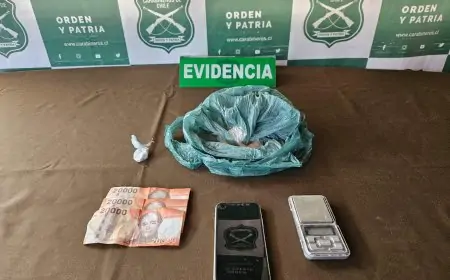 OS7 de Valdivia incauta más de 2 millones en drogas y detiene a sujeto en operativo en San José de la Mariquina
