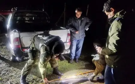 Carabineros  y Sernapesca decomisan 350 kilos de salmón Chinook y un vehículo por pesca ilegal en Llifén