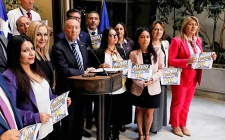 Gobierno acuerda con PDG devolución de IVA a medicamentos y pañales a cambio de apoyo para plan de reconstrucción