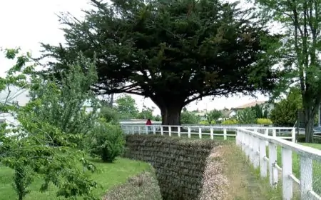 Municipio de Río Bueno espera abrir el Fuerte San José de Alcudia durante 2027 