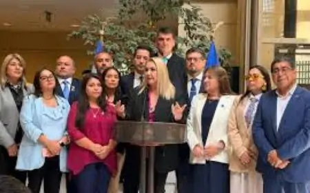 El partido de Parisi se consolida como bisagra: PDG asegura devolución de IVA a medicamentos y pañales a cambio de apoyar reconstrucción