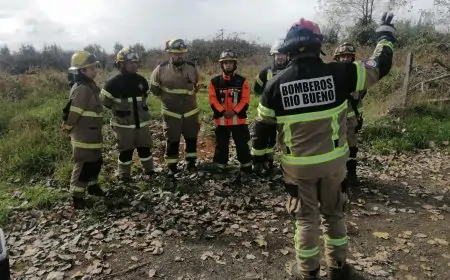 Bomberos de Río Bueno intensifica búsqueda de adulto mayor desaparecido: se suman unidades K9 y ONGs desde este sábado