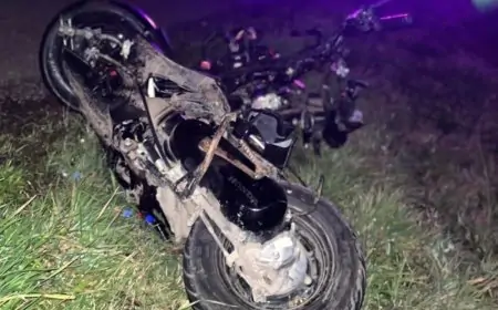 Conductor de camioneta se da a la fuga tras colisión que mató a motociclista en Río Bueno y conducia bajo efectos del  alcohol