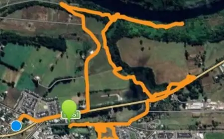 Voluntarios de ONG's bucean y rastrean el río en busca de adulto mayor desaparecido en Río Bueno