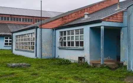 Delincuentes roban en escuela de Río Bueno alimentos y extintores avaluados  en 500 mil pesos