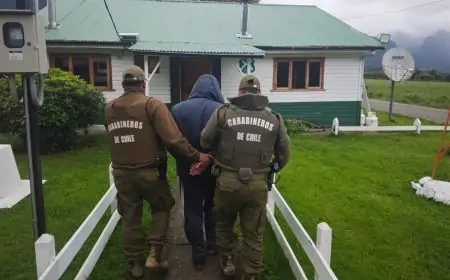 Detienen a sujeto por cultivo de marihuana en su domicilio ubicado en sector rural de Lago Ranco