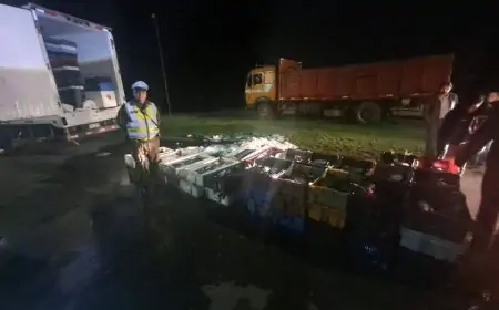 Extranjero fue detenido en Río Bueno con más de una tonelada de pescado sin origen legal