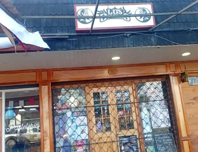 Menor de edad es detenido por robo con intimidación a botillería en Río Bueno