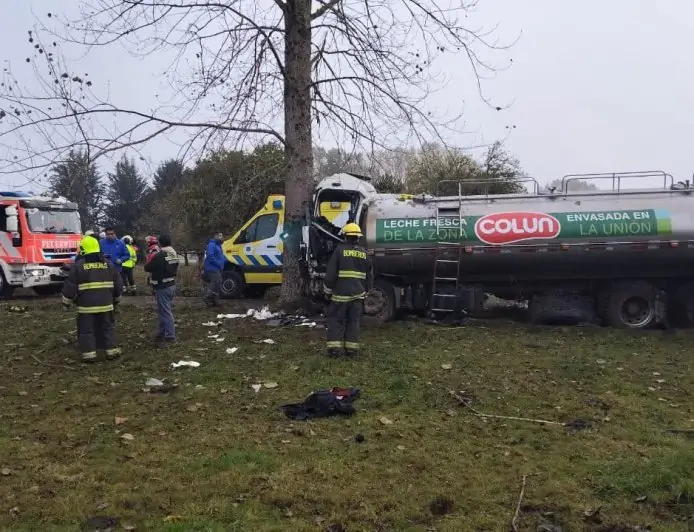 Conductor de camión lechero fallece tras impactar frontalmente contra un árbol en sector Cantarrana de Río Bueno