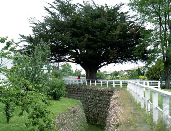 Municipio de Río Bueno espera abrir el Fuerte San José de Alcudia durante 2027 