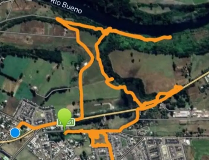 Voluntarios de ONG's bucean y rastrean el río en busca de adulto mayor desaparecido en Río Bueno