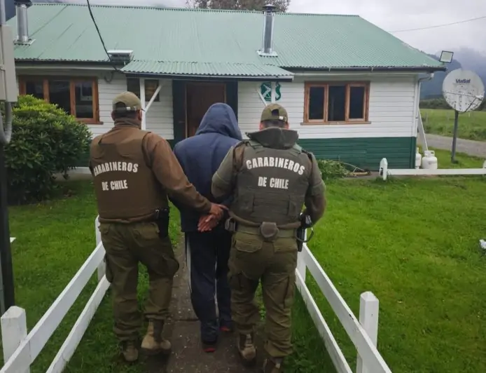 Detienen a sujeto por cultivo de marihuana en su domicilio ubicado en sector rural de Lago Ranco