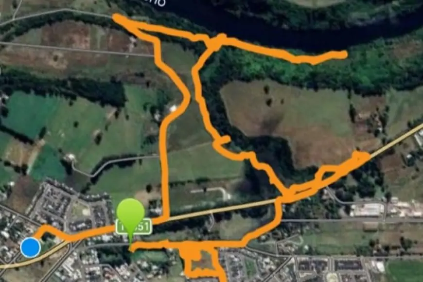 Voluntarios de ONG's bucean y rastrean el río en busca de adulto mayor desaparecido en Río Bueno