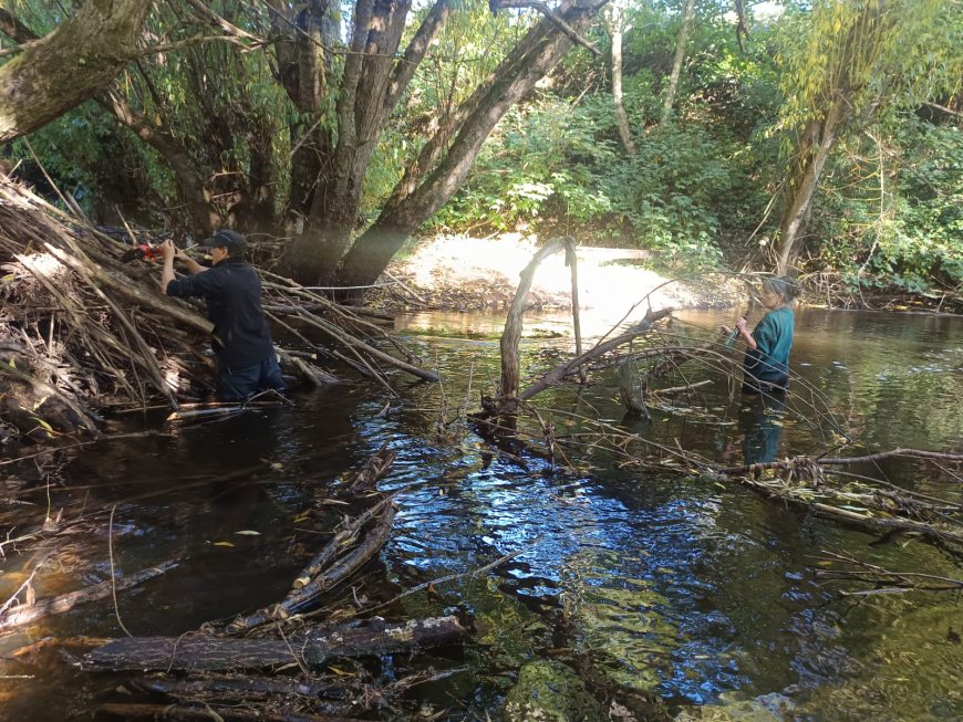 Vecinos limpian río Contra y retiran ocho bolsas de basura en Río Bueno