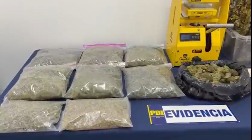 Detienen a hombre que operaba sistema de cultivo indoor de cannabis en Puerto Montt