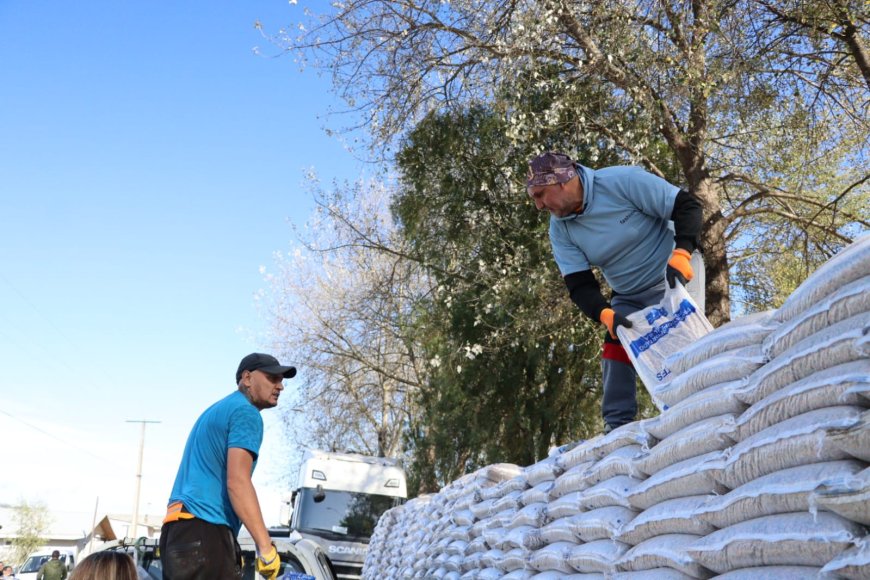 INDAP Los Ríos destina más de $1.150 millones a praderas suplementarias para enfrentar invierno