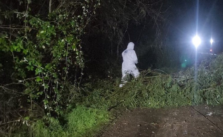 Hombre de 29 años fallece aplastado por rueda de carreta mientras realizaba labores agrícolas en Valdivia