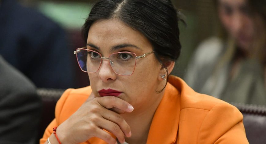Karol Cariola admitió ante la PDI que intercedió por empresario chino ante Irací Hassler 