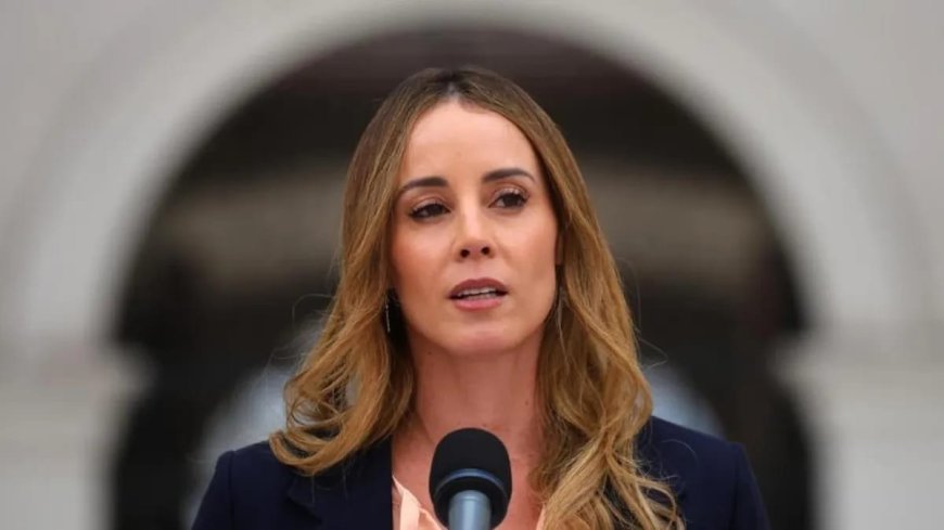 Sedini asegura que Kast financió con sus propios recursos el polémico almuerzo en La Moneda y que responderán ante la CGR