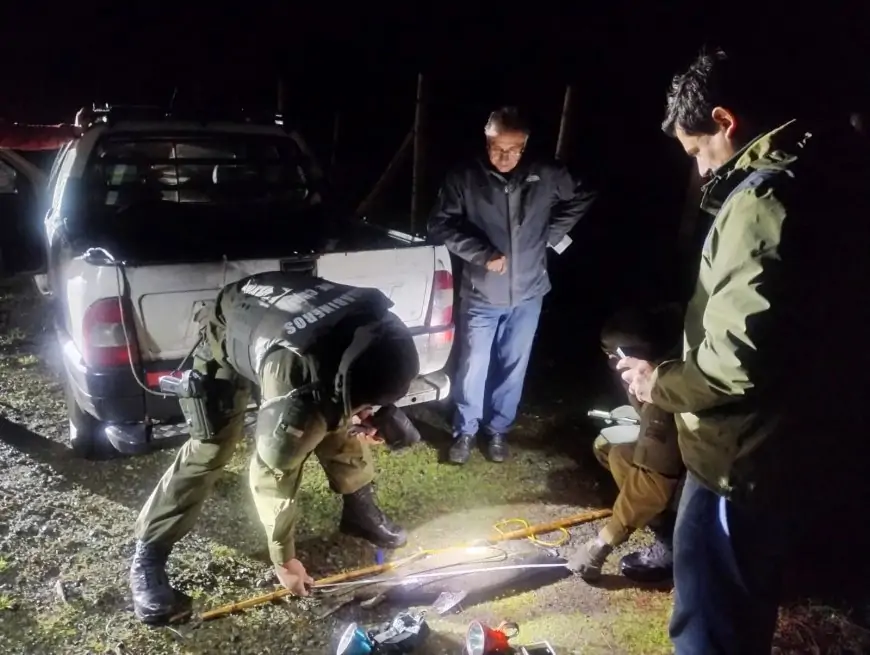 Carabineros  y Sernapesca decomisan 350 kilos de salmón Chinook y un vehículo por pesca ilegal en Llifén