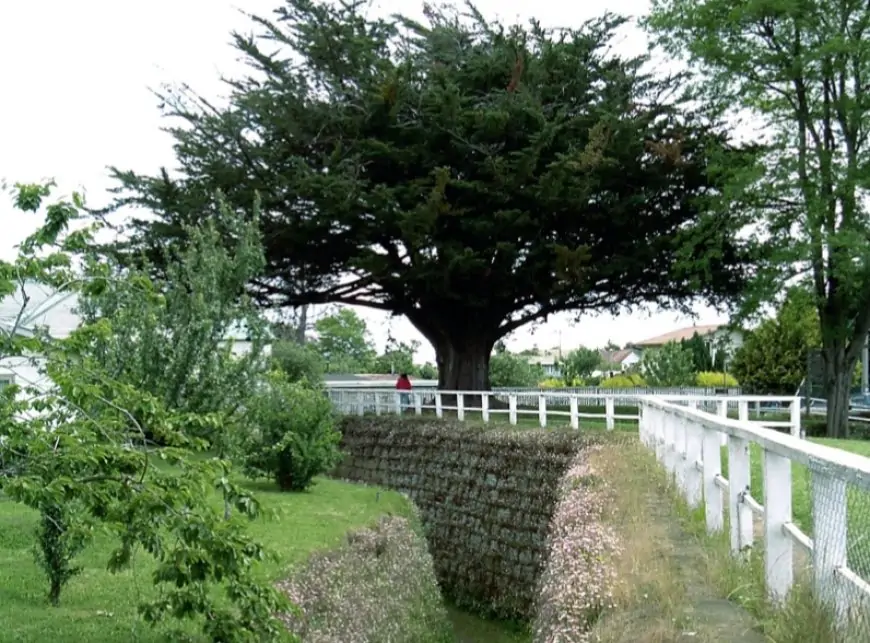 Municipio de Río Bueno espera abrir el Fuerte San José de Alcudia durante 2027 