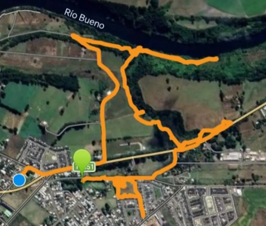 Voluntarios de ONG's bucean y rastrean el río en busca de adulto mayor desaparecido en Río Bueno