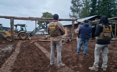 Dos hombres fueron detenidos en Mariquina por usurpación y tala ilegal de más de 40 eucaliptus