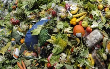 Chile, récord mundial en desperdicio de comida