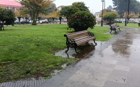 Alerta meteorológica: precipitaciones moderadas a fuertes en corto periodo en Los Ríos
