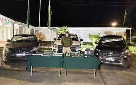Cuatro detenidos y tres vehículos robados recuperados tras allanamientos en Valdivia por Carabineros del SEBV