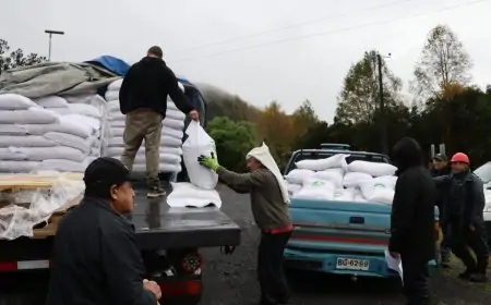 INDAP entrega Capital de Trabajo a 450 usuarios de PRODESAL en Lago Ranco antes del invierno