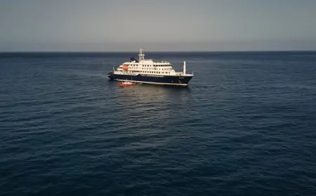 Ministro de Salud informa que no hay transmisión de hantavirus por crucero en territorio chileno