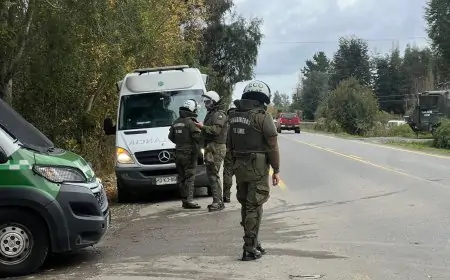 Tierras en sector Calcurrupe de Lago Ranco son restituidas a empresa mediante mandato judicial sin uso de la fuerza