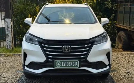 Prófugo de la justicia es detenido en Valdivia por la Sección Centauro tras ser sorprendido conduciendo un vehículo robado