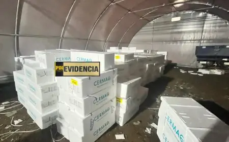 PDI recupera $420 millones en salmón y camión robado en la Ruta 5 y detienen a un hombre por receptación en La Unión