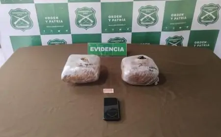 Carabineros OS7 Valdivia detiene a ciudadano colombiano con más de 2 kilos de marihuana en bus de la empresa Transantin en Lanco