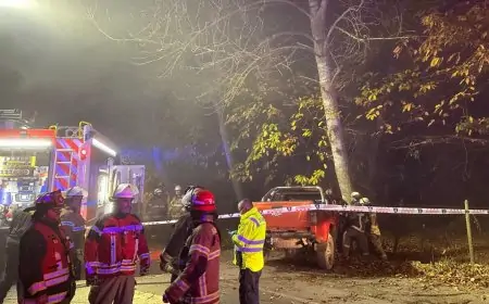 Un fallecido y tres heridos deja colisión de dos vehículos en ruta T-210 a la altura de Cabañas Los Aromos en La Unión
