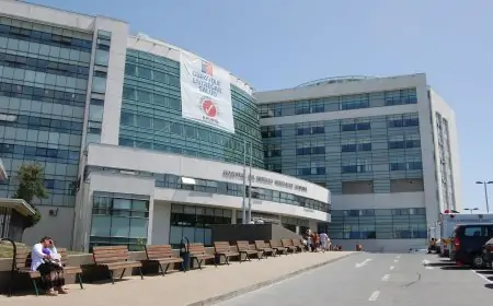 Séptimo caso de hantavirus en Los Lagos: trabajador ganadero está hospitalizado en Temuco conectado a ECMO