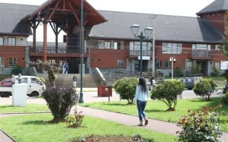 Contraloría detecta deuda previsional de $862 millones y múltiples irregularidades financieras en Municipalidad de San Pablo