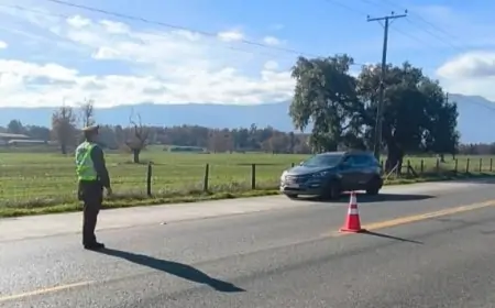 Carabineros de Futrono detiene a dos personas por desacato y sustracción de madera durante operativos de fin de semana