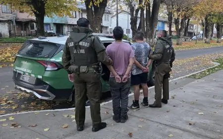 Dos individuos con amplio prontuario son detenidos por hurtos en locales comerciales del centro de Río Bueno