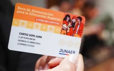 FNE acusa a Pluxee y Edenred de colusión por casi nueve años en mercado de beneficios de alimentación y vestuario